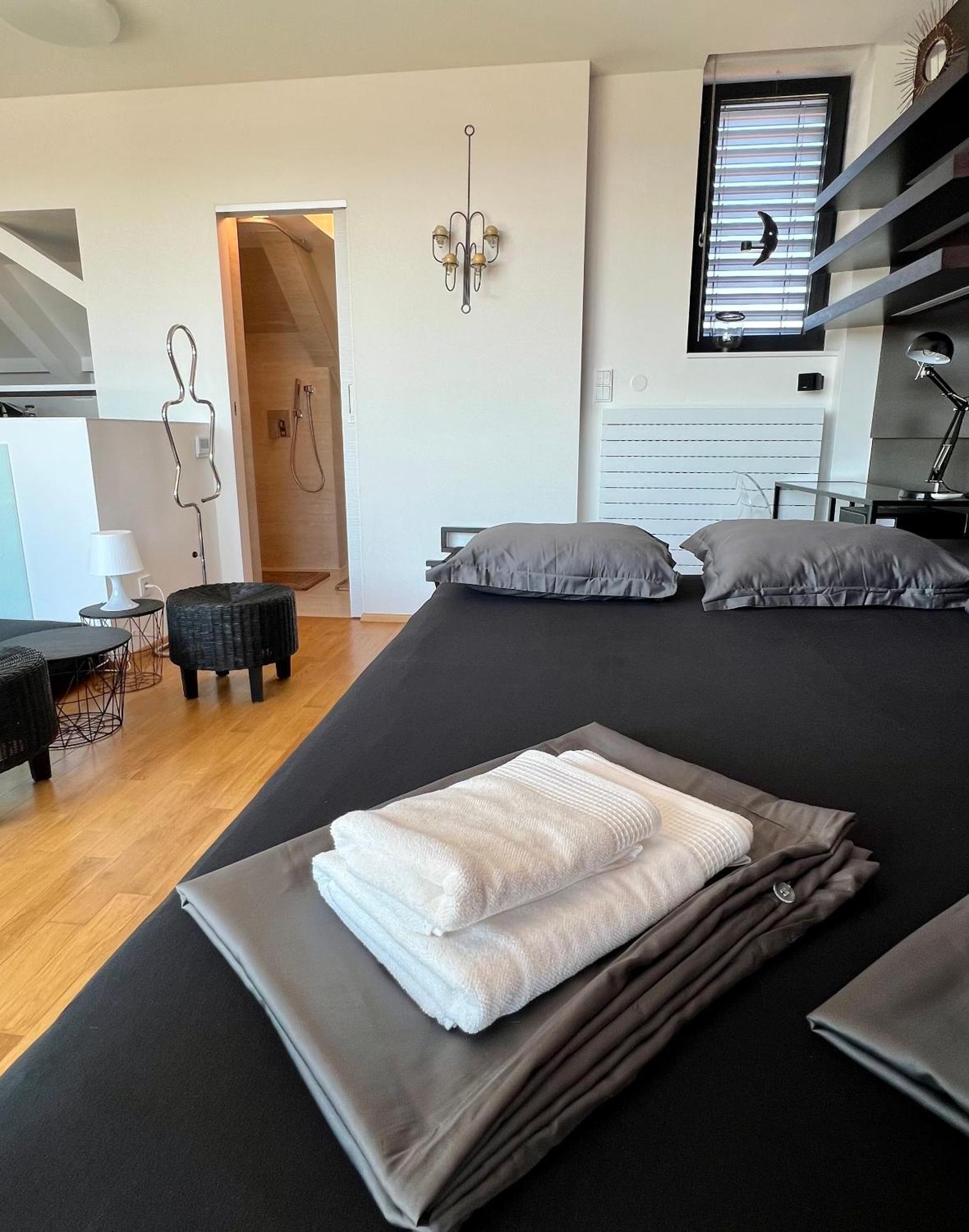 Apartman Se Saunou A Terasou S Vyhledem Na Brno Exterior foto